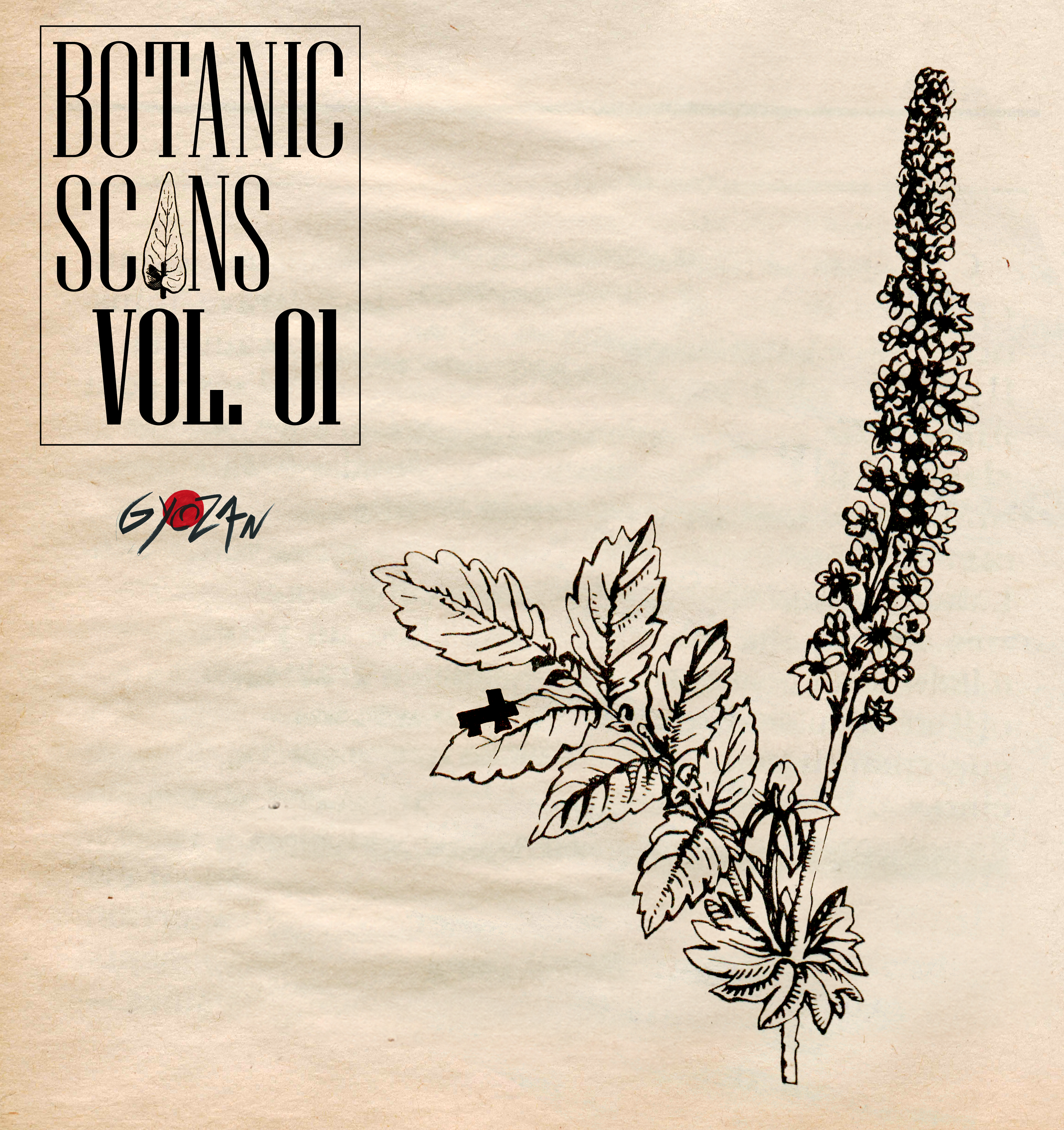 Botanic Scans — photo 2